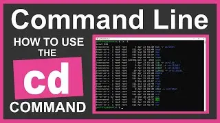 Command Line Tutorial: How to Use the cd Command
