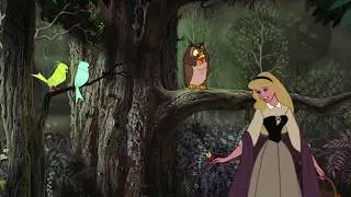 Sleeping Beauty - I wonder / Trans + Subs (French)