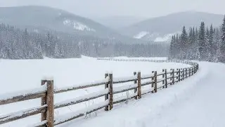 Frozen Tranquility | Serene Calming Instrumental Music for Peaceful Winter Moments