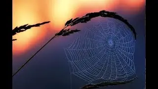 At night -The Cure - (Sub español)