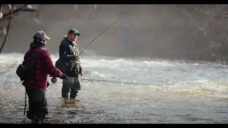 Fish Contaminants and Consumption Advisories, Thunder Bay ON
