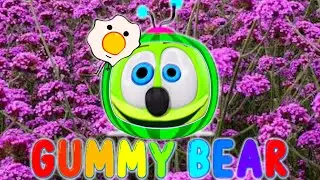 COCOGUMMY BEAR Intro logo Part 54 COCOMELON PARODY Special Audio & Visual Effects Weird Funny Video