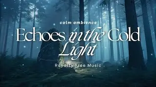 Echoes in the Cold Light | RFM - Royalty Free Music | Crevo | Copyright Free Music