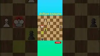 Brilliant Endgame #trap #shortsviral #queencheckmate #brilliant #chessopening #endgame