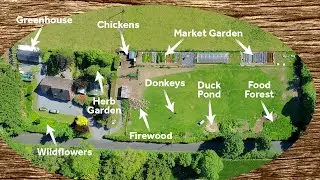 June 2022 Tour of our Permaculture Homestead and Market Garden