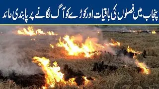 Punjab bans burning of crop residues and garbage