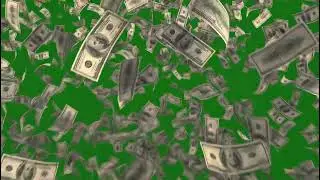 Realistic Dollar Animation Green Screen Overlay for Intense VFX Scenes