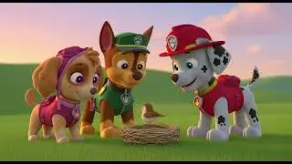 Paw Patrol Adventure Rhyme    Pups Save The Day