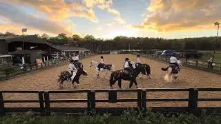 Silvermere&rsquo;s Pony Club Virtual musical Drill Ride 2025- Matilda 
