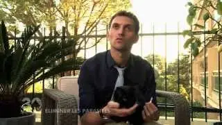 ELIMINATION ET PREVENTION DES PARASITES DES CHIENS ET CHATS