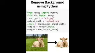 it's so simple to remove background using python,you can reduce code line to 5 