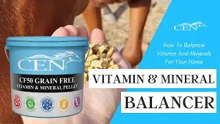 How To Balance Vitamin And Minerals For Your Horse - CEN CF50 Grain Free Pellet
