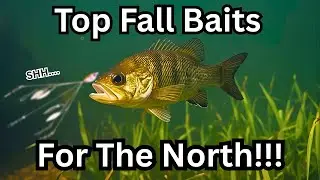 Top 5 Fall Bass Fishing Baits For The North!!!!
