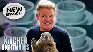 it&rsquo;s groundhog day and gordon is trapped in a time loop 🫨 | BRAND NEW Kitchen Nightmares COMPILATION
