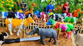 WADIDAU‼️PROSES POTONG SAPI KURBAN SAPI LUCU 🐮🦁🐼KAMBING GAJAH KUDA ‼️PROSES SAPI MELAHIRKAN CESAR‼️