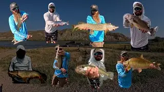 Multiple Species of the Missouri River