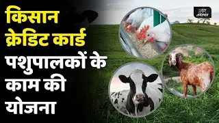 Pashu Kishan Credit Card 2024 | Pashu Kishan Credit Card Kaise Banvayein | किसान क्रेडिट कार्ड योजना