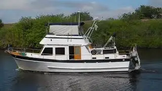 Irish Wolfhound on DeFever Trawler