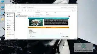 Bitcoin Wallets Recovery Software Review   AI Seed Phrase Finder