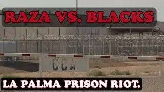 PRISON RIOT: Blacks and raza