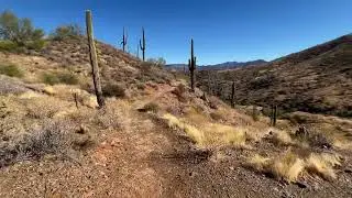Cave Creek Regional Park Loop - November 2024
