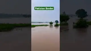 Pakistan 🇵🇰 Border River // Ghaggar Flood // Satluj // Indus River // Flood in Punjab// Chandpura