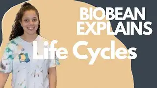 BIOBEAN EXPLAINS: Animal, Plant, and Fungi Life Cycles