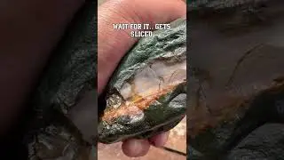 Found a piece of jasper with agate banding in it #rockhound #jasper