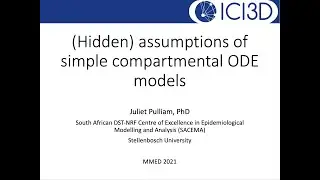(Hidden) Assumptions of Simple ODE Models
