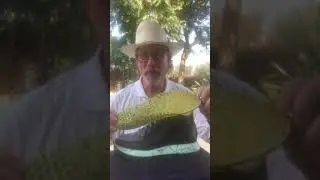 COMUNITYmade and Blumaka Collab