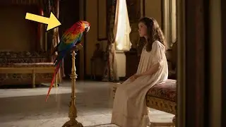 Parrot becomes the voice of a 6-year-old girl and reveals HORRORS lived in SILENCE...