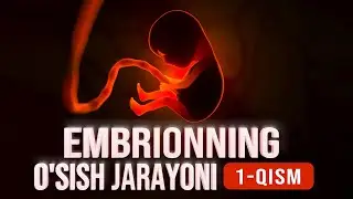 Embrionning o‘sish jarayoni | Allohning mo'jizalari 16-son