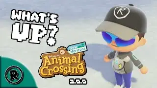 What's going on? (with Animal Crossing 3.0.0)