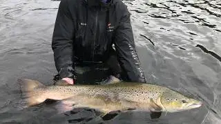 Biggest Icelandic salmon caught in 2018