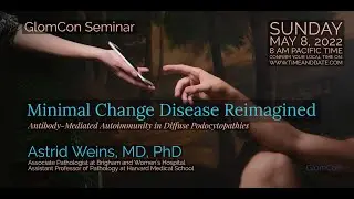 Minimal Change Disease Reimagined
