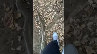 Valentine's Day Hike