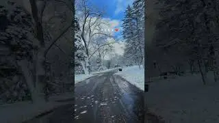 The work behind that postcard-perfect snow scene #landscaping #wintermaintenance
