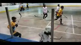 2024 Winter Classic Championship Game - D Division - Bradford Ontario - OBHL