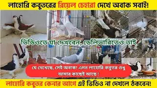 লাহোরি কবুতর কেনার আগে দেখুন! শো-পিসে এক, ডেলিভারিতে আরেক? সত্যটা জানুন!