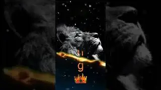 New trending fire #Lion King#whatsapp#status 2020