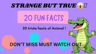 Get Ready to ACE Your Funfact Trivia Quiz in Just 10 Minutes