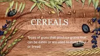 Cereals for Kids | Cereals for Children | Names of Cereals for Kids | Healthy Cereals for Kids