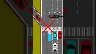 Beginner DRIVER MISTAKE &ndash; Not Knowing the Signal Rules
