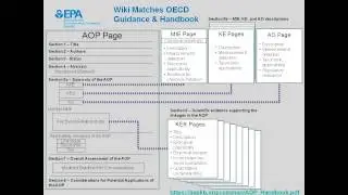 Steven Edwards - Adverse Outcome Pathways