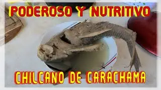 &iexcl;C&Oacute;MO PREPARAR EL MEJOR  Y NUTRITIVO CHILCANO DE CARACHAMA!