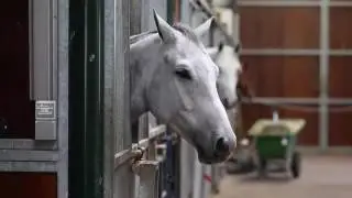 Anouk van Gerven over Equivital Souplesse
