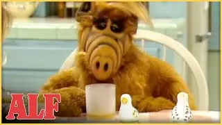 ALF Gets the Worst Hangover 🤢 | S2 Ep24 Clip