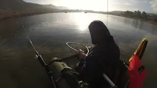 catfish corona lake