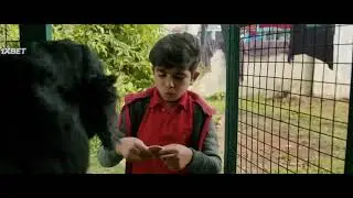 Movie India - Child Through The Legs Woman (Oh My Dog 2022)