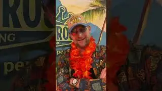 Det M&uuml;ller presents: The ultimate summer cap from King Kerosin! 🌞🧢🍻